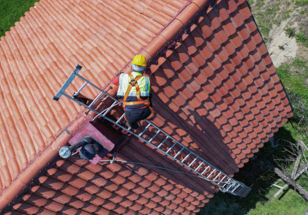 Best Steel Roofing  in Brillion, WI